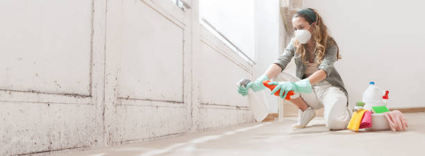 Best Mold Prevention Services  in Greenland, AR